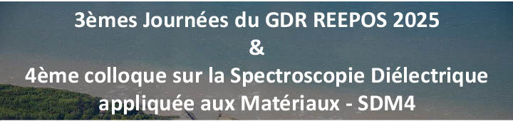 GDR REEPOS 2025 – SDM4